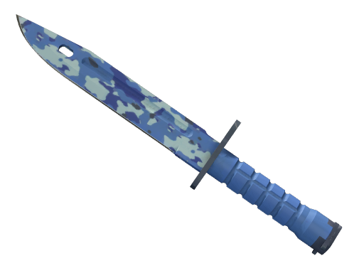 ★ StatTrak™ Bayonet | Bright Water