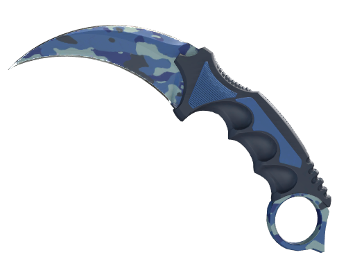 ★ StatTrak™ Karambit | Bright Water